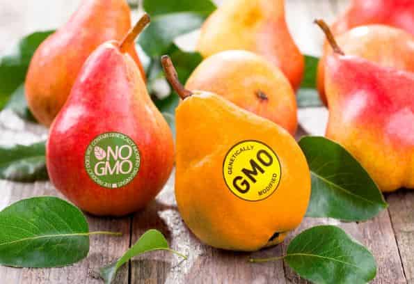 نحوه-شناسایی-غذاهای-GMO