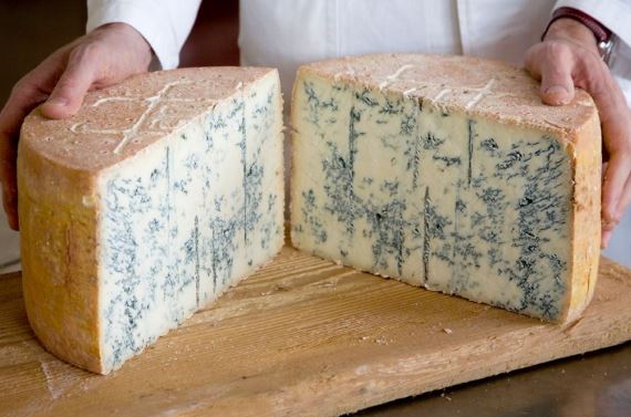 پنیر-گورگونزولا