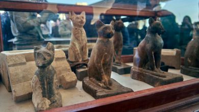 مجسمه-گربه-مصر-باستان